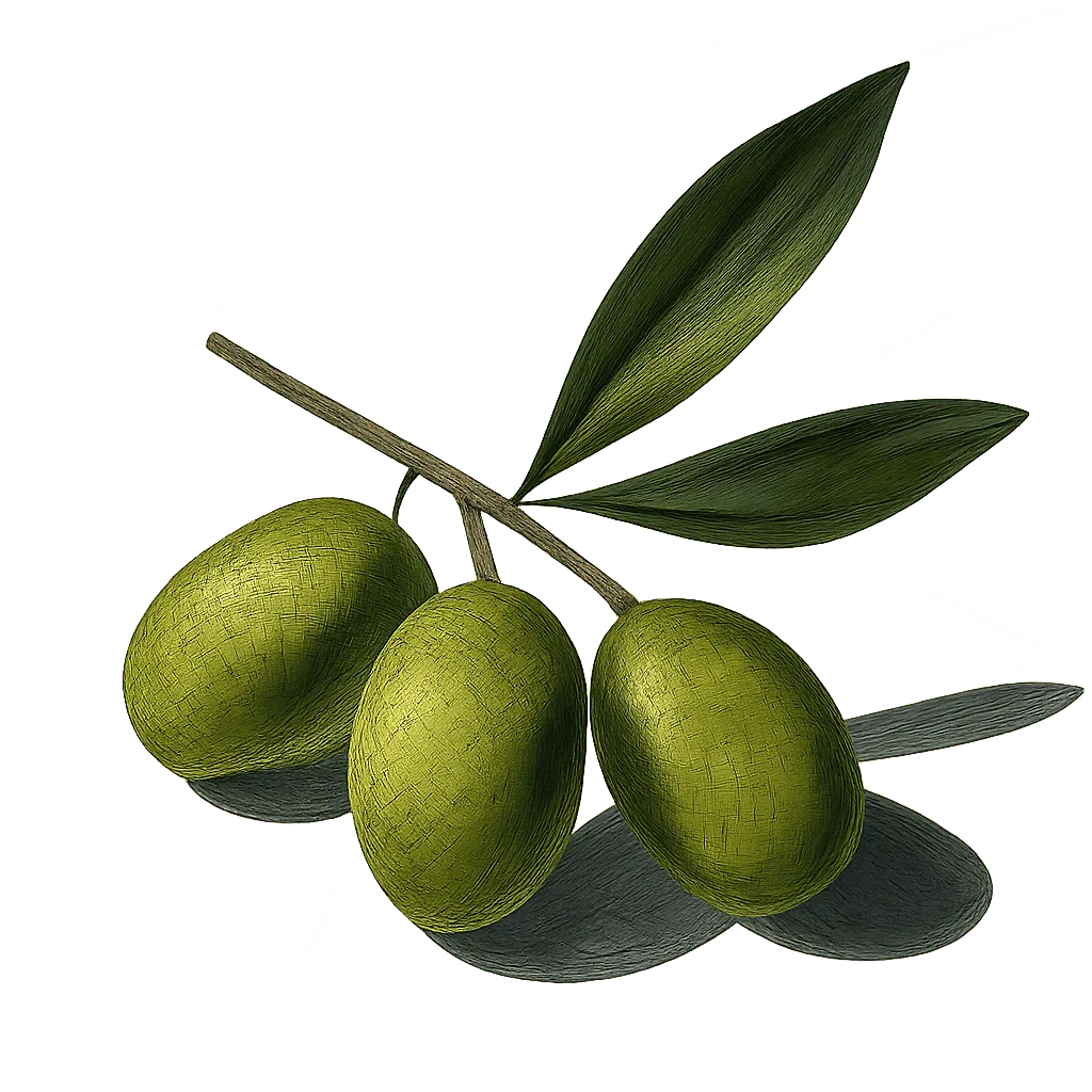Picholine olive